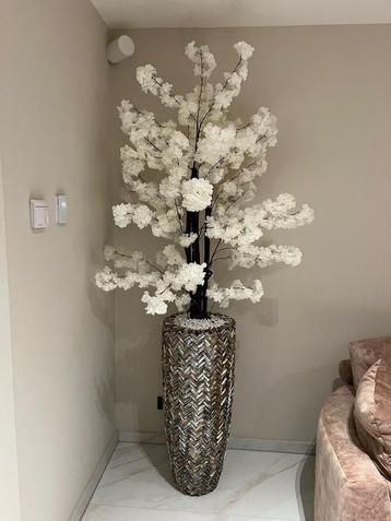 Luxe schelpenvazen met bloesemboom beschikbaar voor biedingen