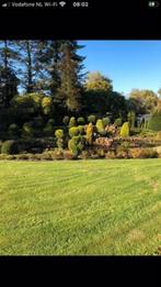 tuinman aangeboden, Tuin en Terras, Ophalen of Verzenden, Nieuw