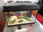 complete juwel primolux 60 met toebehoren en inrichting, Dieren en Toebehoren, Vissen | Aquaria en Toebehoren, Ophalen, Gebruikt