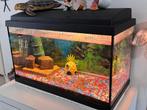 aquarium, Ophalen, Gebruikt, Gevuld zoetwateraquarium
