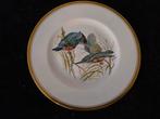 Kingfisher   ijsvogels, Antiek en Kunst, Antiek | Wandborden en Tegels, Ophalen of Verzenden