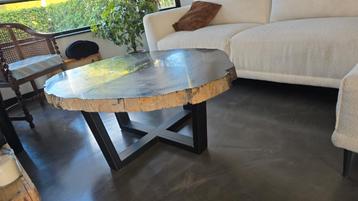 XXL Fossiel Houten Tafel 120cm - Versteend Hout salontafel  beschikbaar voor biedingen