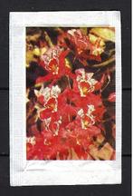 1925 BLOEMEN, Ophalen of Verzenden, Nederland