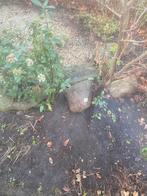 Zwerfkeien voor in de tuin, Ophalen, Gebruikt, Graniet, Kei