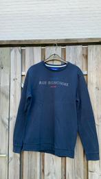 Jules sweater, Maat 52/54 (L), Jules, Blauw, Ophalen of Verzenden