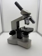 Euromex Holland Microscoop, Ophalen of Verzenden, Gebruikt, Biologische microscoop