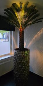NIEUW GROTE SCHELPENVAAS 120CM &  KUNST PALMBOOM ERIC KUSTER, Huis en Inrichting, Ophalen, Nieuw, 75 cm of meer