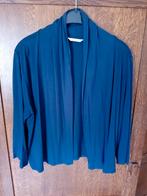 Blauwe en zwarte vestjes - Maat XL, Kleding | Dames, Blauw, Maat 46/48 (XL) of groter, Ophalen of Verzenden, Miss Etam