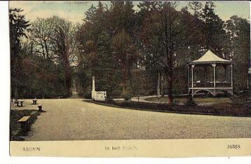 Assen In het Bosch 1909.  beschikbaar voor biedingen