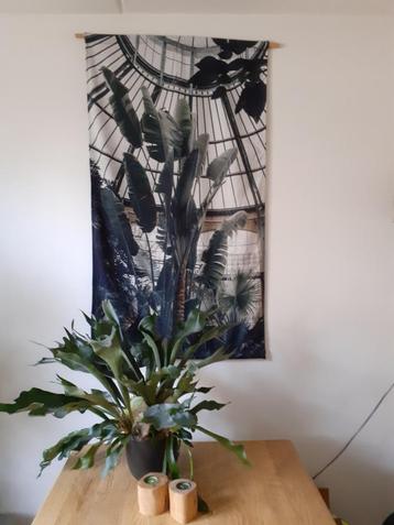 Wand Doek 132 x 75 cm   beschikbaar voor biedingen