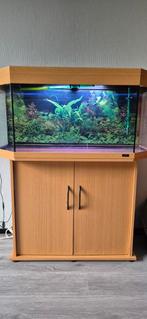 Juwel aquarium + kast & toebehoren., Dieren en Toebehoren, Vissen | Aquaria en Toebehoren, Ophalen, Zo goed als nieuw, Leeg aquarium