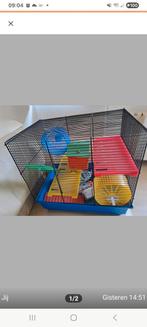 Hamster kooi  extra's, Kooi, Minder dan 75 cm, Zo goed als nieuw, Hamster