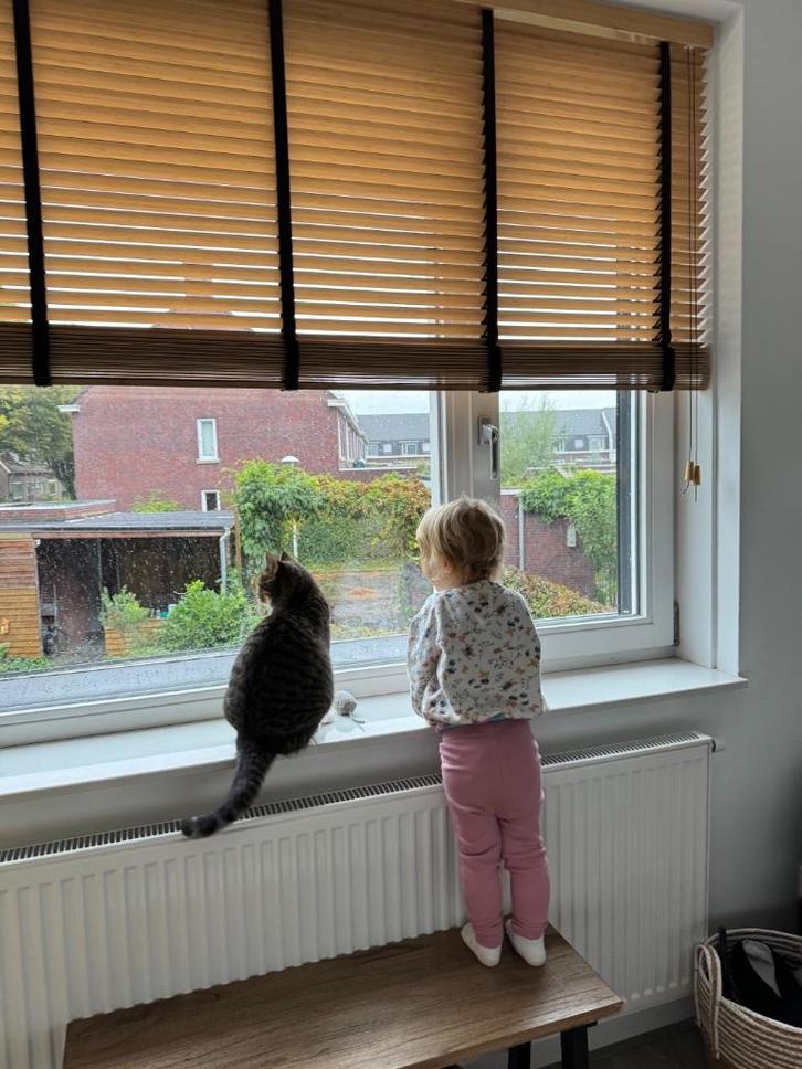 Bamboe Jaloezie 35mm – Licht Eiken –  (2050  1540 mm), Huis en Inrichting, Stoffering | Gordijnen en Lamellen, Zo goed als nieuw