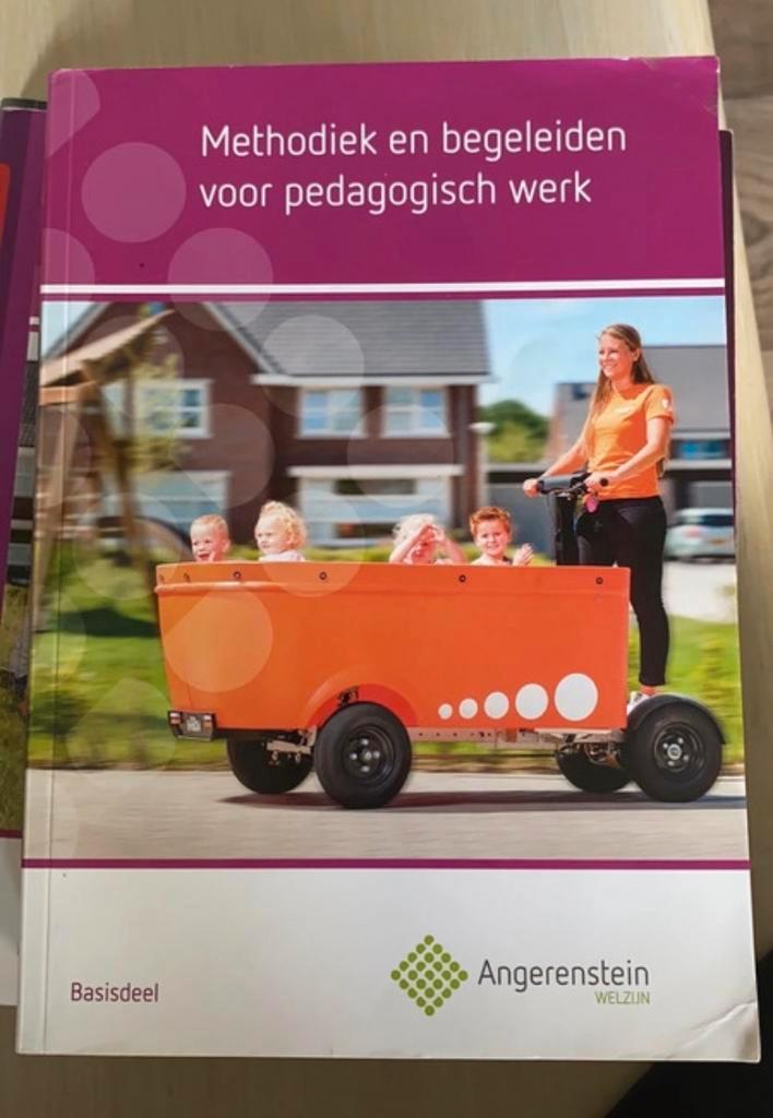 Methodiek en begeleiden pedagogisch werk, Boeken, Studieboeken en Cursussen, Gelezen, MBO, Gamma, Ophalen of Verzenden