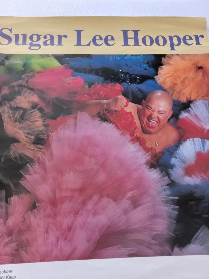 Sugar Lee Hooper Poster., Verzamelen, Posters, Zo goed als nieuw, Muziek, A1 t/m A3, Rechthoekig Staand, Ophalen of Verzenden