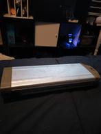 Accu - Gebruikt, Ophalen of Verzenden, Gebruikt