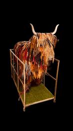 Schotse hooglander ware grootte, Ophalen