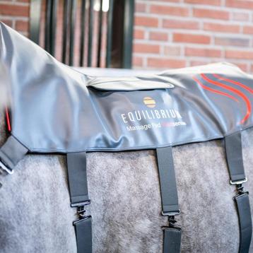 Nieuw in doos! Equilibrium Massage Pad HeatSense  beschikbaar voor biedingen