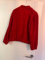 Rode jas, Ophalen of Verzenden, Nieuw, Maat 38/40 (M), Rood