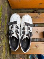 XLC Wielrenschoenen Maat 37-39, Ophalen, Gebruikt, Schoenen, Overige maten
