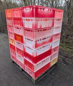 Kunststof bakken 60x40x20 - Ideaal voor opslag!, Gebruikt, 40 tot 60 cm, 50 tot 75 cm, Ophalen of Verzenden