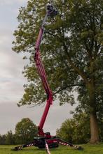 Bomen kappen/rooien, Tuin en Terras, Planten | Bomen, Ophalen, Bloeit niet, Volle zon, Overige soorten