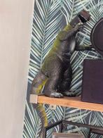 Godzilla (Dor Mei - Hong Kong), Ophalen of Verzenden