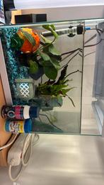 Aquarium met spongebob beeldjes, pomp en temperatuur meter, Ophalen, Zo goed als nieuw, Leeg aquarium