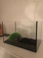 Aquarium, Dieren en Toebehoren, Ophalen, Zo goed als nieuw, Leeg aquarium
