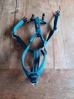 Dog copenhagen y tuig, Ophalen of Verzenden