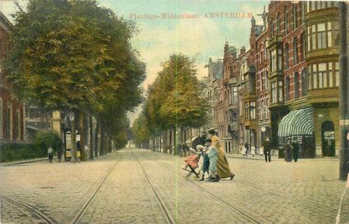 (304-217-015) Amsterdam Plantage-Middenlaan, Verzamelen, Ansichtkaarten | Nederland, Noord-Holland, Verzenden