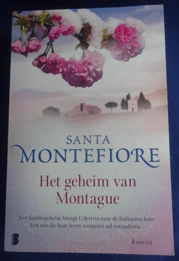 HET GEHEIM VAN MONTAGUE * Santa Montefiore * beschikbaar voor biedingen