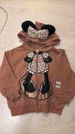 Vest minny mouse 98-104, Kinderen en Baby's, Kinderkleding | Maat 104, Ophalen of Verzenden, Meisje, Trui of Vest