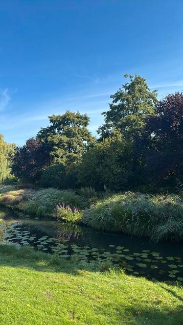 Tuinman gezocht beschikbaar voor biedingen