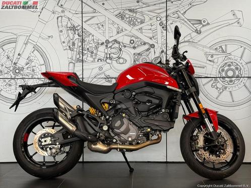 Ducati MONSTER (bj 2024), Motoren, Motoren | Ducati, Bedrijf, Naked bike, meer dan 35 kW