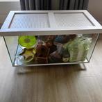 Hamster terrarium  inclusief alle toebehoren, Minder dan 60 cm, Gebruikt, Ophalen of Verzenden, 75 tot 110 cm