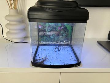 Aquarium beschikbaar voor biedingen