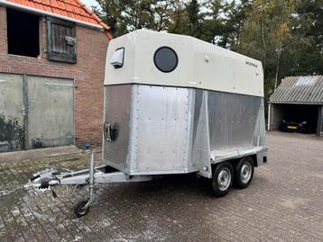 Westfalia paardentrailer paarden trailer paardenkar kar beschikbaar voor biedingen