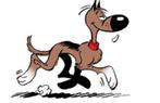 Oppas /opvang voor Uw hond, Dieren en Toebehoren, Pluimvee, Meerdere dieren, Overige soorten