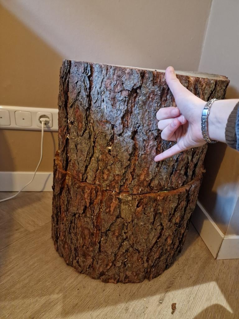 Houten stammen, Doe-het-zelf en Verbouw, Hout en Planken, Ophalen, Overige houtsoorten, 50 mm of meer, Minder dan 200 cm