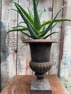 Tuinvaas gietijzer plantenpot, Antiek en Kunst, Ophalen