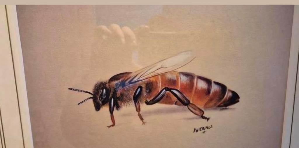 Koningin schilderij buckfast, Dieren en Toebehoren, Bijen