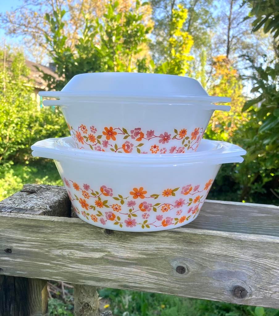 2 vintage arcopal schalen “Scania” decor 🌼, Ophalen of Verzenden