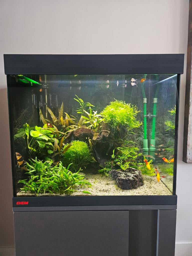 Compleet Eheim Vivaline 150 L. Aquarium, Ophalen, Leeg aquarium