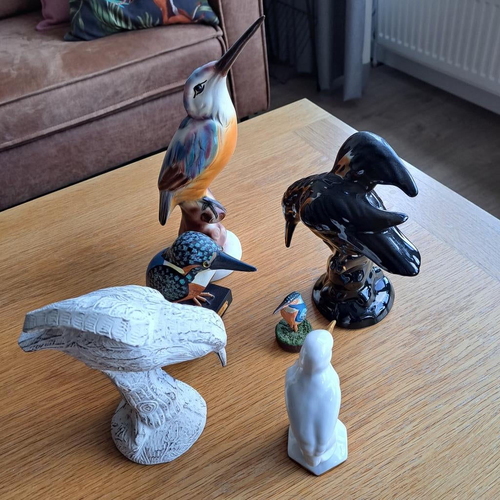 Te leuk! Ijsvogelbeeldjes!, Ophalen of Verzenden