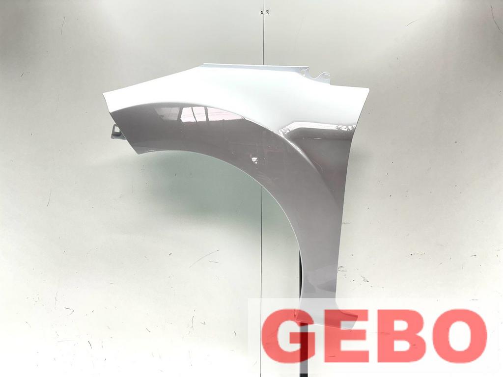 Ford Fiesta 2013/2017 voorspatbord links linker scherm Froze, -, -, Nieuw, Ophalen of Verzenden