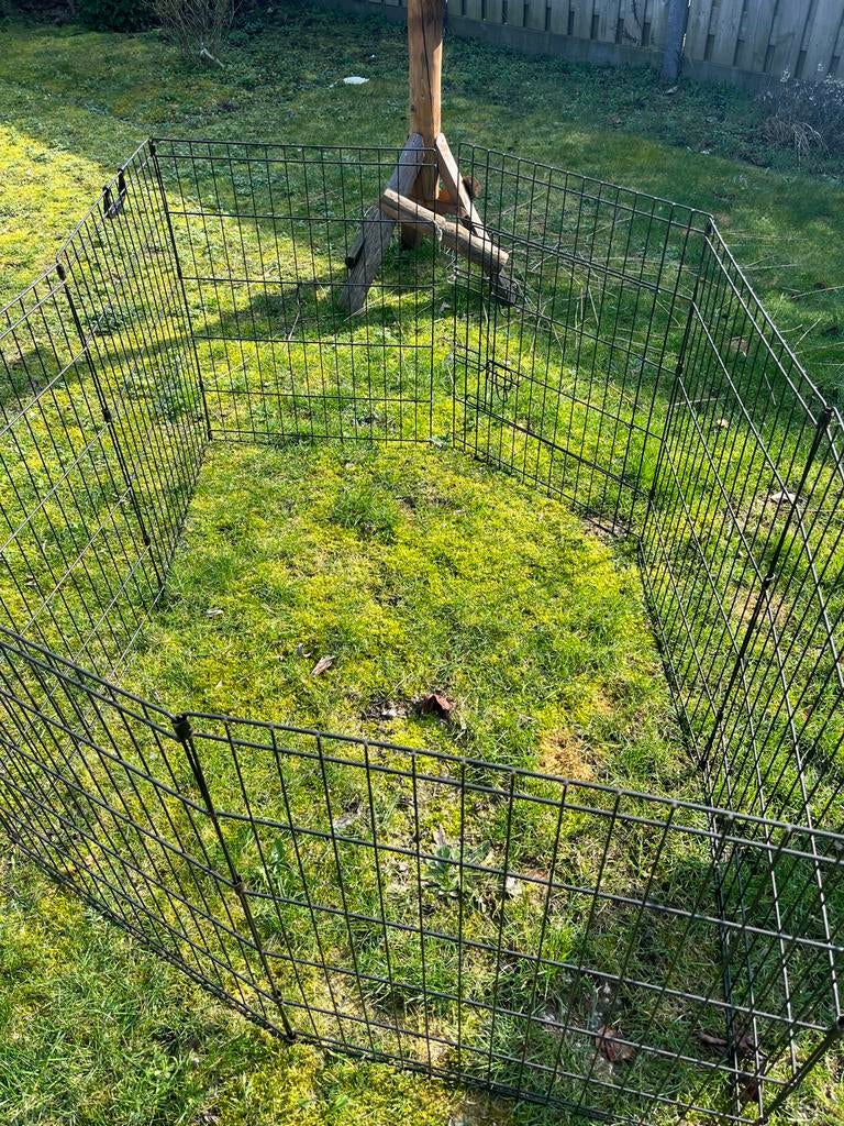 Ren, Ophalen of Verzenden, 110 cm of meer, Ren, 60 tot 90 cm