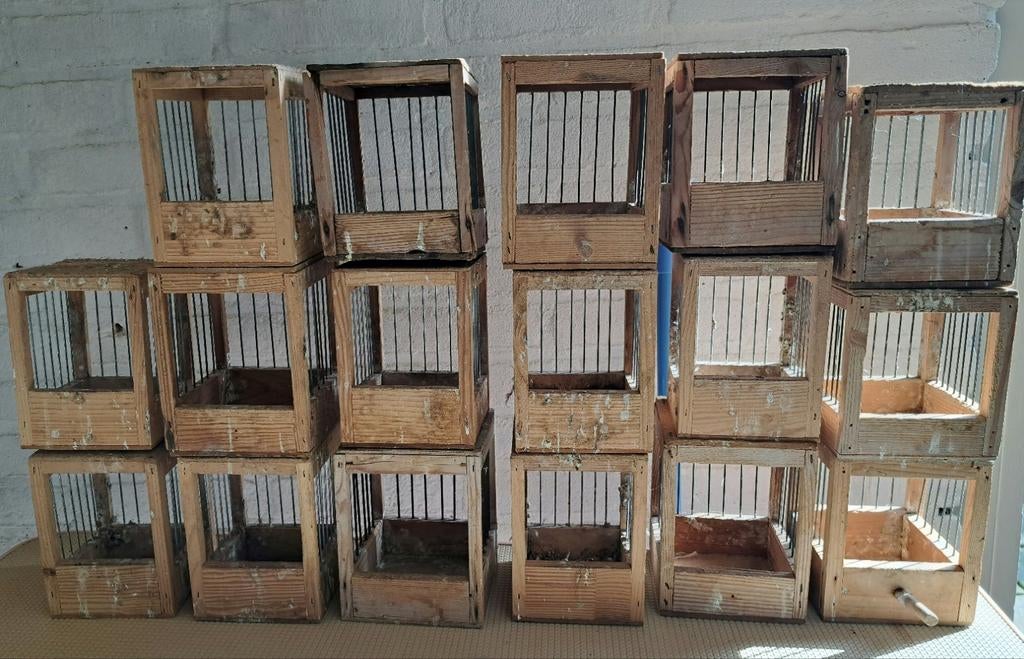 Broedhok 17st gebruikt, Dieren en Toebehoren, Vogels | Hokken en Kooien, Ophalen, Gebruikt, Hout, Vogelkooi