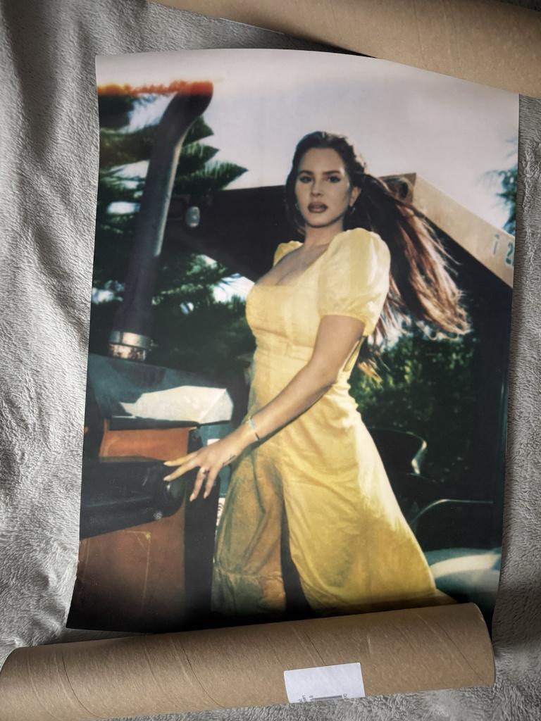 Lana Del Rey Blue Banisters UK Official Poster ZELDZAAM, Verzenden, Zo goed als nieuw, Poster, Artwork of Schilderij