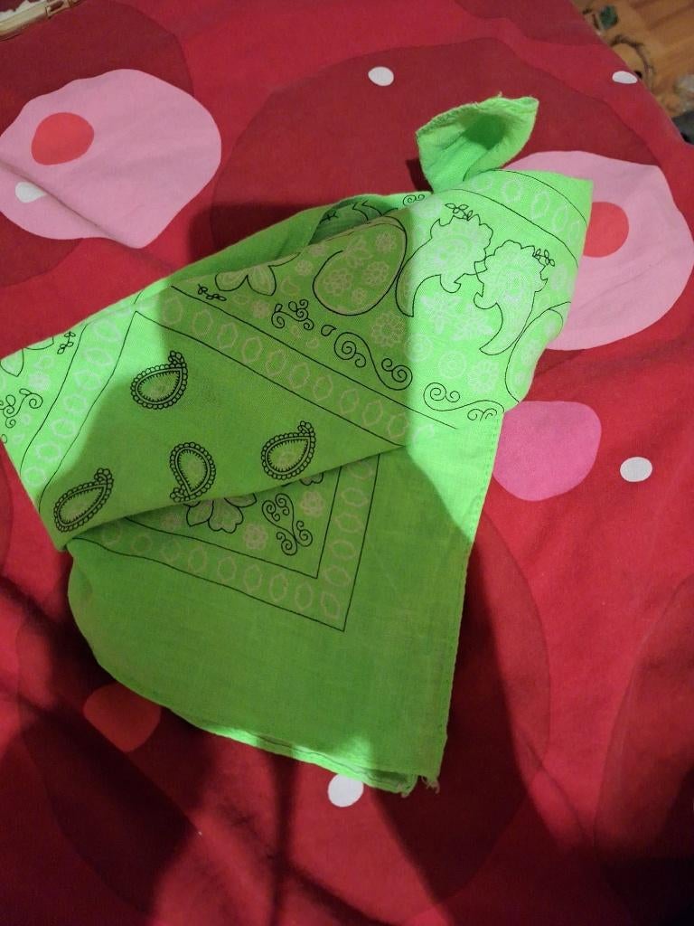 Sjaal of "boeren" zakdoek groen, Ophalen of Verzenden, Zo goed als nieuw, Maat 46/48 (XL) of groter, Sjaal